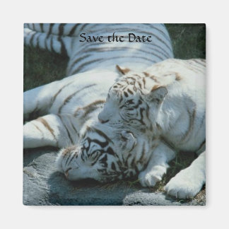 Sla de datum op Witte Tijger Magneten