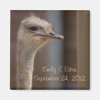 Sla de datum struisvogelfotomagneet op magneet