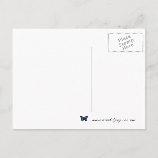 Sla de datum Uil II Briefkaart (Achterkant)