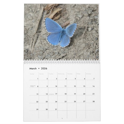 Sla de Vlinders 2024 Kalender op (Mar 2026)