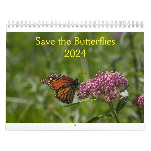 Sla de Vlinders 2024 Kalender op (Hoes)