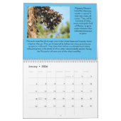 Sla de Vlinders 2024 Kalender op (Jan 2026)