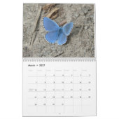 Sla de Vlinders 2024 Kalender op (Mar 2027)
