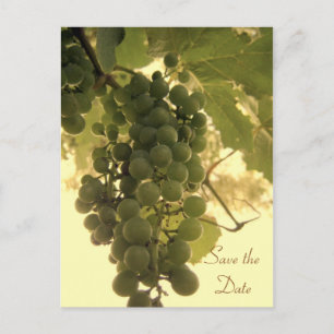 Sla het Briefkaart Date Green Grapes op
