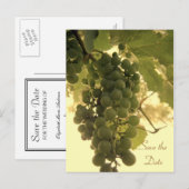 Sla het Briefkaart Date Green Grapes op (Voorkant / Achterkant)