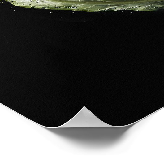 Sla in het water poster (Hoek)