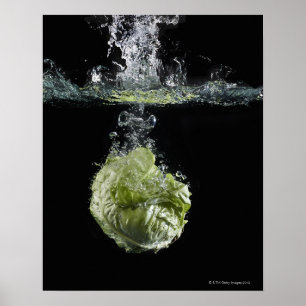 Sla in water poster