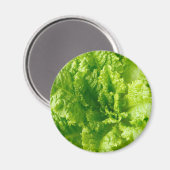 Sla Magneet (Voorkant / Achterkant)