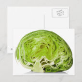 sla van verse ijsberg, halfwit briefkaart (Voorkant / Achterkant)