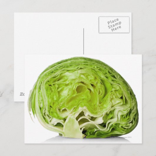 sla van verse ijsberg, halfwit briefkaart (Voorkant / Achterkant)