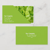 Sla Visitekaartje (Voorkant / Achterkant)