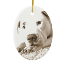 slaafse wittebol haat-akte niet voortplanten