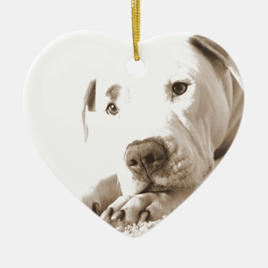 slaafse wittebol haat-akte niet voortplanten keramisch ornament (Voorkant)