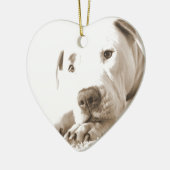 slaafse wittebol haat-akte niet voortplanten keramisch ornament (Links)