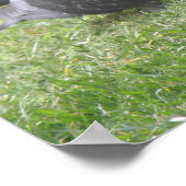 Slaande Duif Print (Hoek)