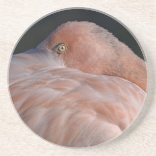 Slaande Flamingo Achterbaan Zandsteen Onderzetter