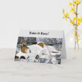 Slaande Jack Russell Terrier Bewerkbare Verjaardag Kaart (Gele Bloem)