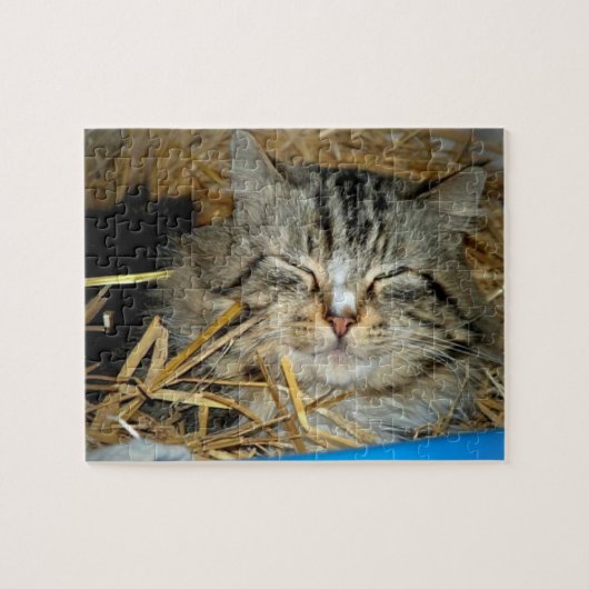 Slaande kat Kitty foto Legpuzzel (Horizontaal)