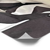 Slaande Kat Poster (Hoek)