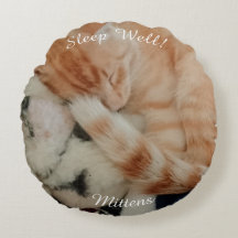 Slaande Kattenfoto, Voor- en Achterkant,