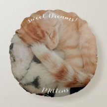 Slaande kattenfoto's, voor- en achterkant,