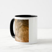 Slaande oranje tabby in wasmand mok (Voorkant links)