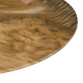 Slaande oranje tabby in wasmand snijplank (Hoek)