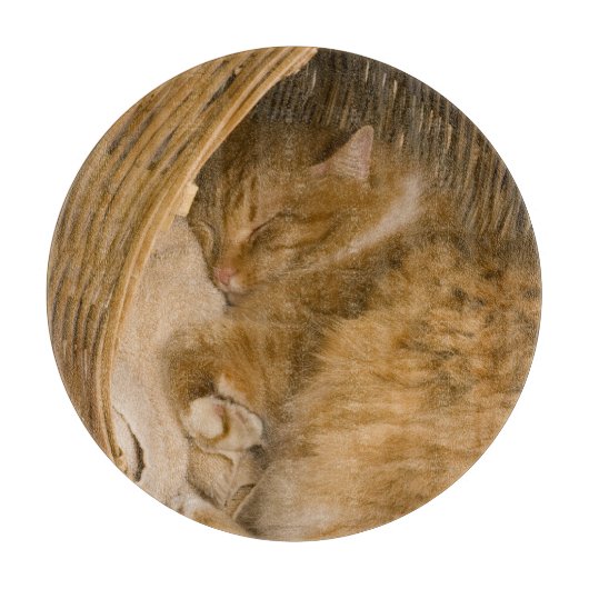 Slaande oranje tabby in wasmand snijplank (Voorkant)