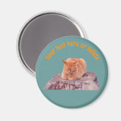 Slaande oranje tabby kat gepersonaliseerd magneet (Voorkant / Achterkant)