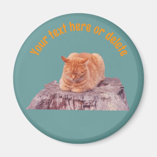 Slaande oranje tabby kat gepersonaliseerd magneet (Voorkant)