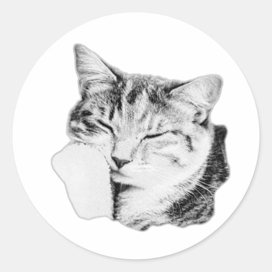 Slaande Tabbykat Monochroom Sticker (Voorkant)