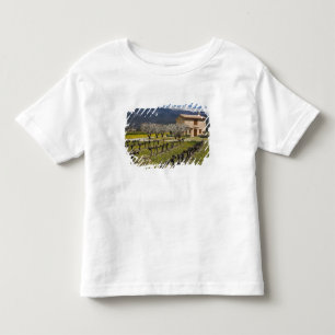 Slaande wijngaard, fruitbloesems, stenen huis, kinder shirts