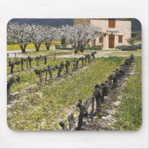 Slaande wijngaard, fruitbloesems, stenen huis, muismat