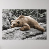 Slaap Beer op log Rustic Cabine Poster (Voorkant)