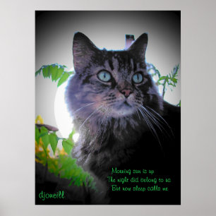 Slaap belt me poster