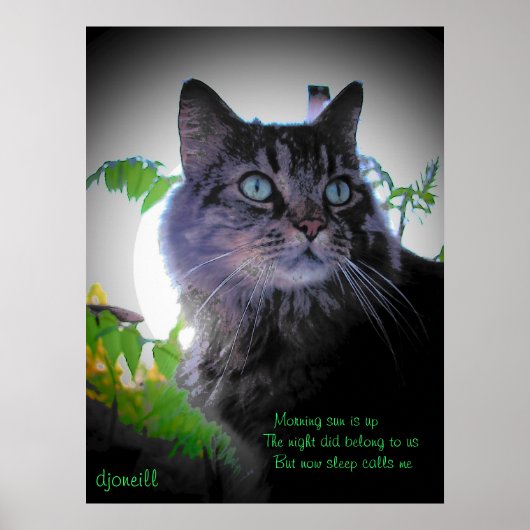 Slaap belt me poster (Voorkant)