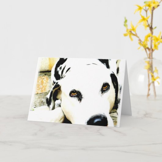 Slaap Dalmatische Wenskaarten Kaart (Gele Bloem)