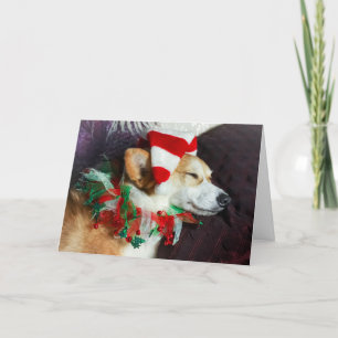 Slaap Elf Korthals Kerstkaart Kaart