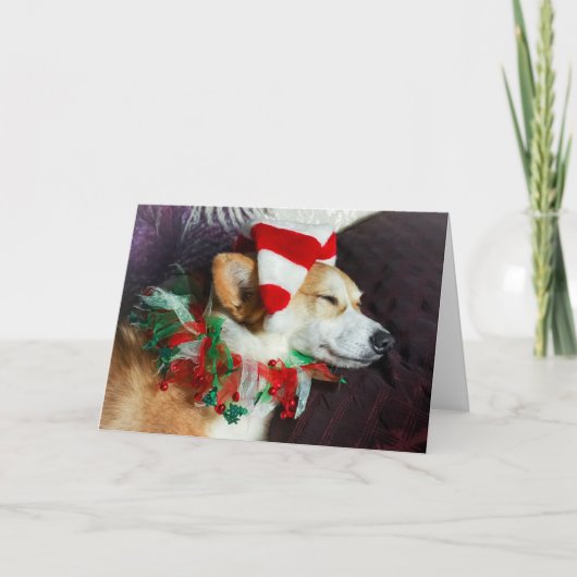 Slaap Elf Korthals Kerstkaart Kaart (Voorkant)