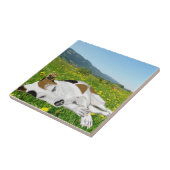 Slaap Jack Russell in een kleurrijke bloemenweide Tegeltje (Zijkant)