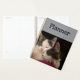 Slaap kat planner