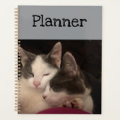 Slaap kat planner (Voorkant)