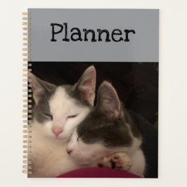 Slaap kat planner