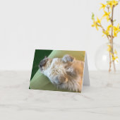 Slaap Katje Wenskaart Beterschap Kaart (Gele Bloem)