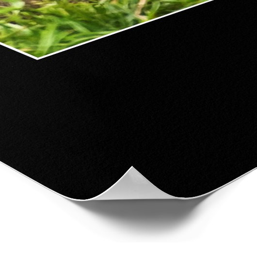 Slaap kleine baby aap poster (Hoek)