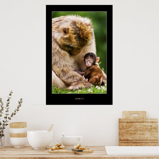 Slaap kleine baby aap poster (Keuken)