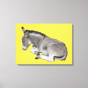 Slaap kleine baby ezel canvas afdruk