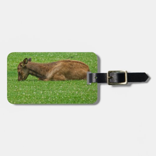 Slaap kleine bagagelabel (Voorkant horizontaal)