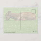 Slaap kleine briefkaart (Achterkant)