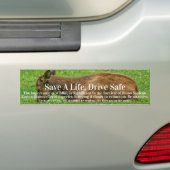 Slaap kleine bumpersticker (Op auto)